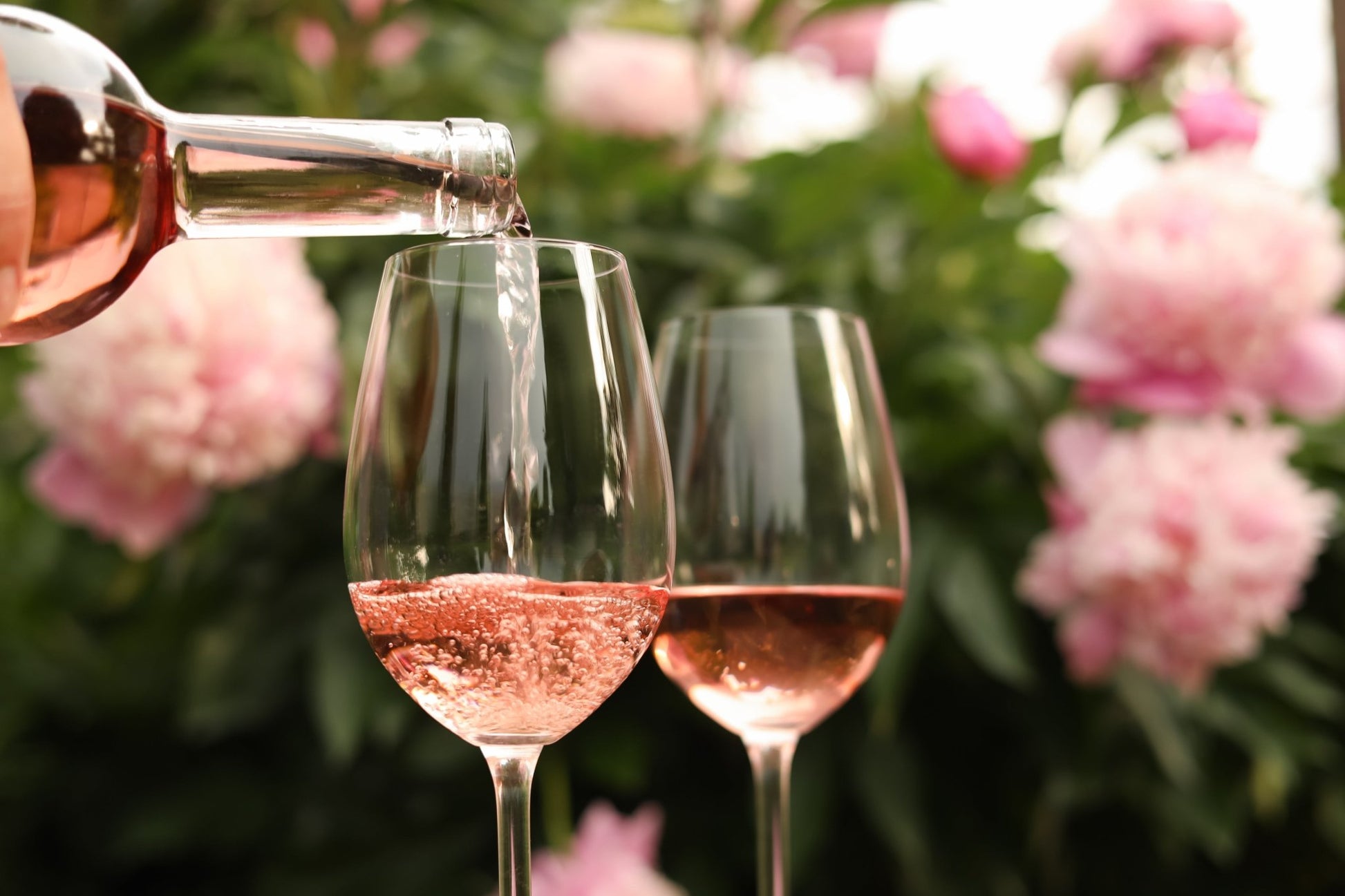 APHRODITE URANIA Rosé - La Corte dei Greci